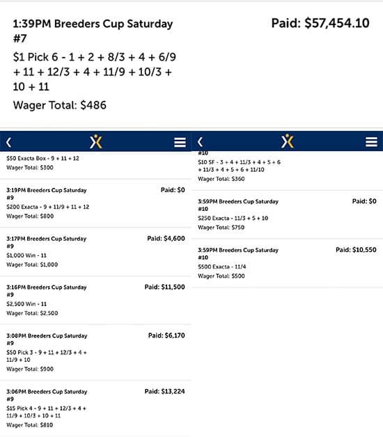 Hits Pick 6 Among Other Wagers in 2019 Breeders' Cup For Over $100K!